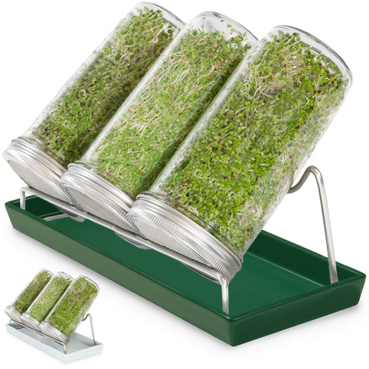 Cressery® Sprossenglas Keimglas 3er Set [grün] mit Deckel & Sieb aus hochwertigem Edelstahl für Sprossenzucht | Keimglas -